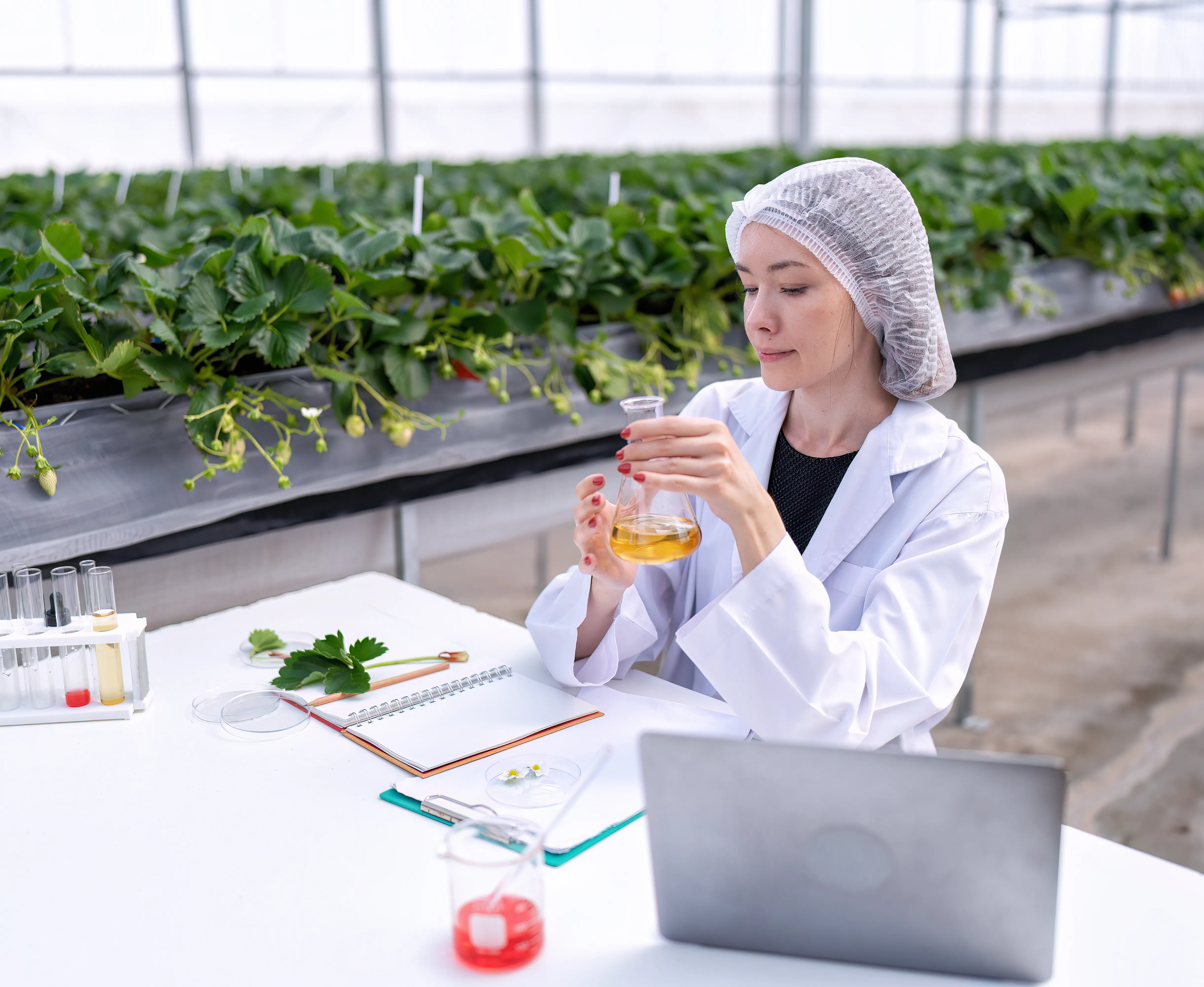 scientist testing food item